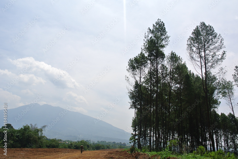 Fototapeta premium Landscape photography of mountain view