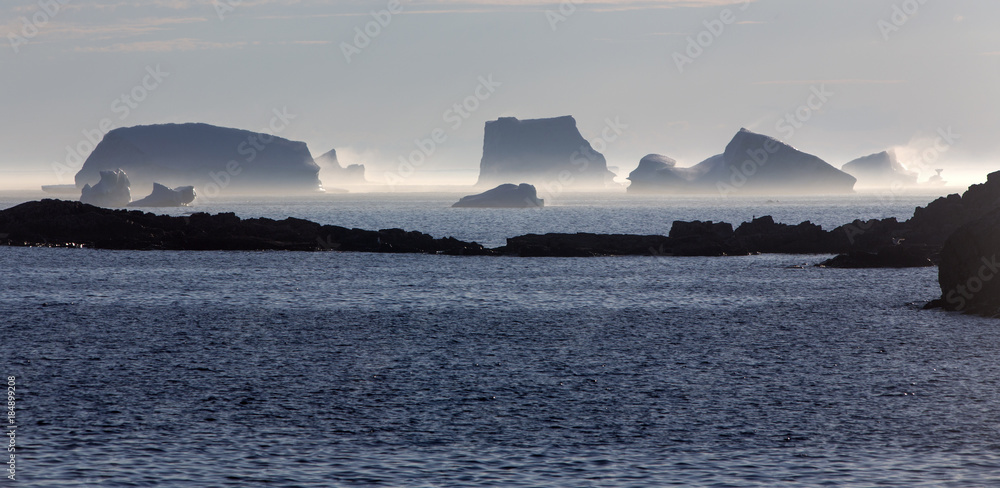 Naklejka premium icebergs steaming in afternoon sun, Fogo Island, Newfoundland