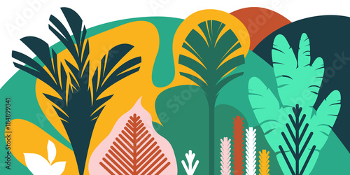Trees are broad-leaved tropical, ferns. Flat style. Preservation of the environment, forests. Park, outdoor. Vector illustration.