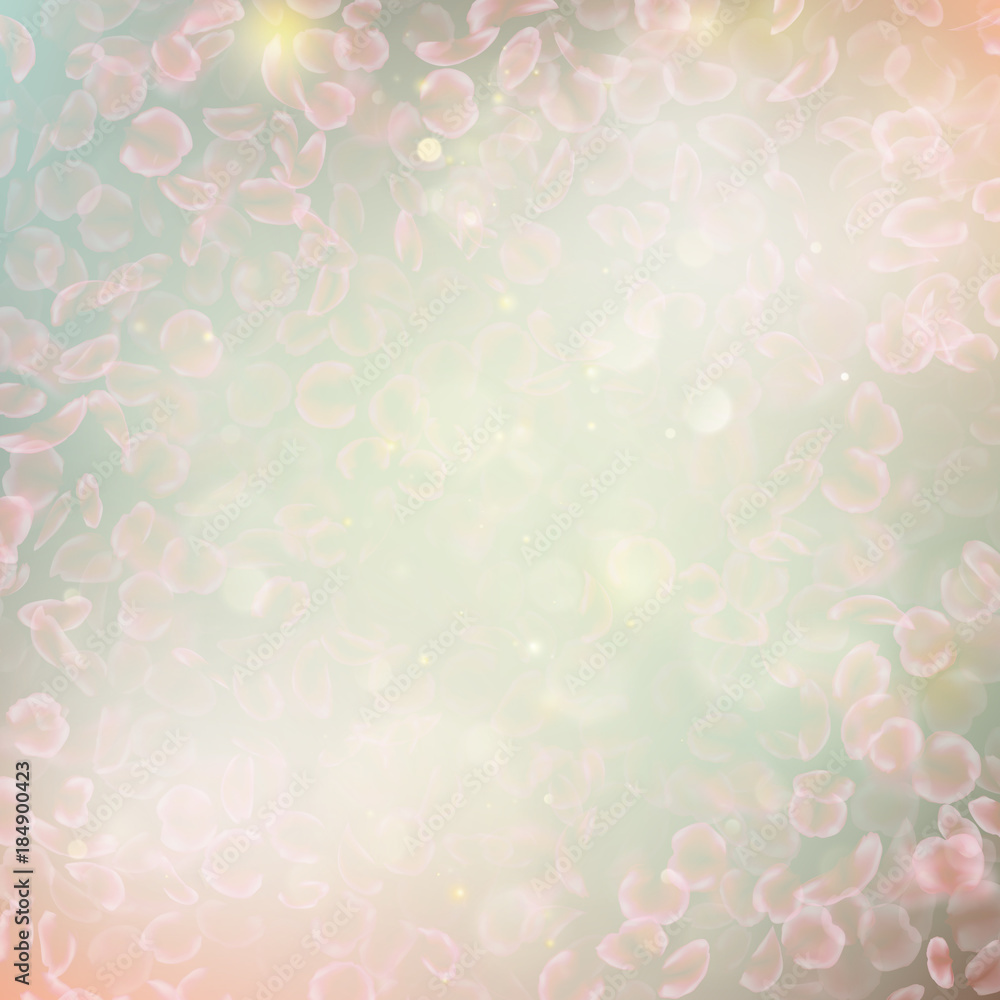Sakura flying downwind petals on wind. EPS 10 vector Sakura flying downwind petals on wind. EPS 10 vector