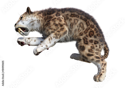 3D Rendering Sabertooth Tuger on White photo