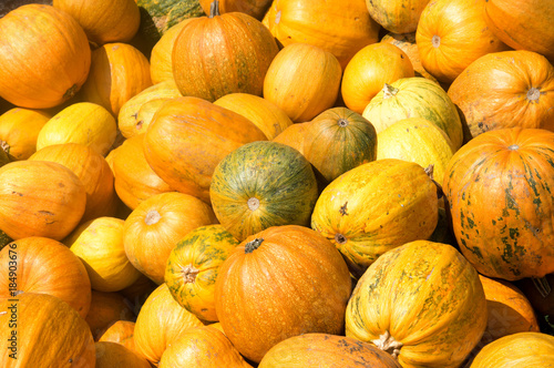 Fresh orange pumpkin isolated on  background.