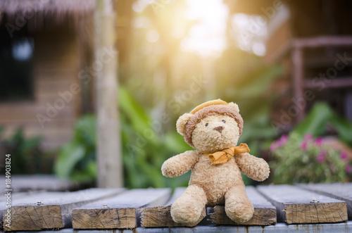 teddy bear and green background
