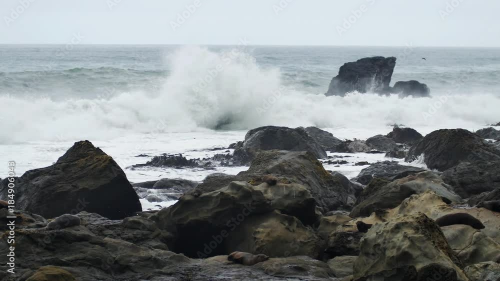 NEW ZEALAND – MARCH 2016 : Video shot of beach along East Coast road with waves in view NEW ZEALAND – MARCH 2016 : Video shot of beach along East Coast road with waves in view
