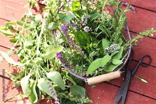 Kräuterkorb aus dem Garten