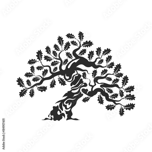 Huge and sacred oak tree silhouette logo badge isolated on white background.