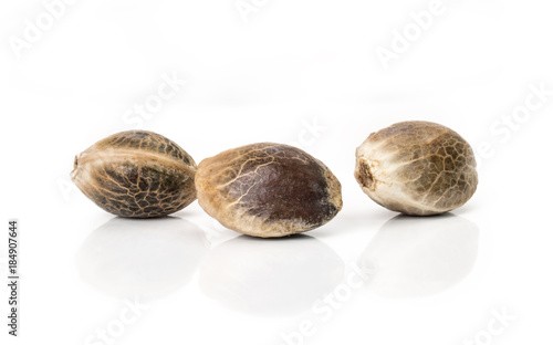 Close up of hemp seeds on white background