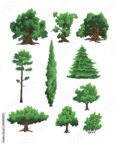 Set of vector illustrations of trees
