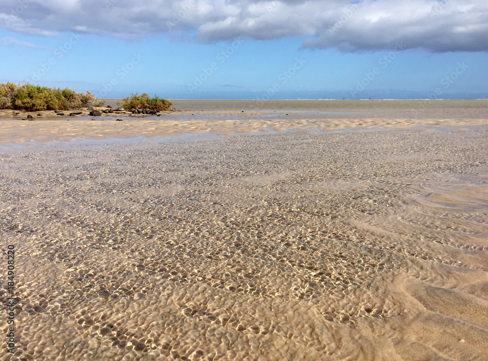 Obraz premium Ebbe in der Lagune Sotavento auf Fuerteventura