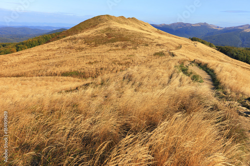 Grassy meadow slopes of the Polonina Carynska hill in Bieszczady Mountains in South East Poland - Bieszczadzki National Park. Bukowe Berdo; Tarnica and Tarniczka hills in the background. photo