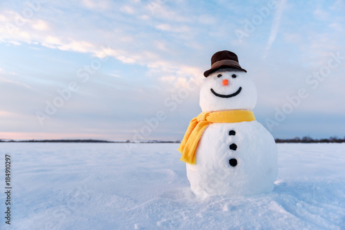 Funny snowman in stylish hat and yellow scalf on snowy field. Merry Christmass and happy New Year!