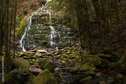 Nelson Falls in Tasmania
