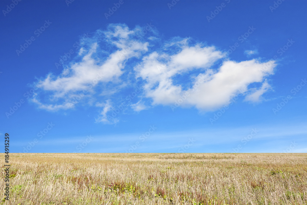 An autumn field under the blue sky, with a great feather cloud