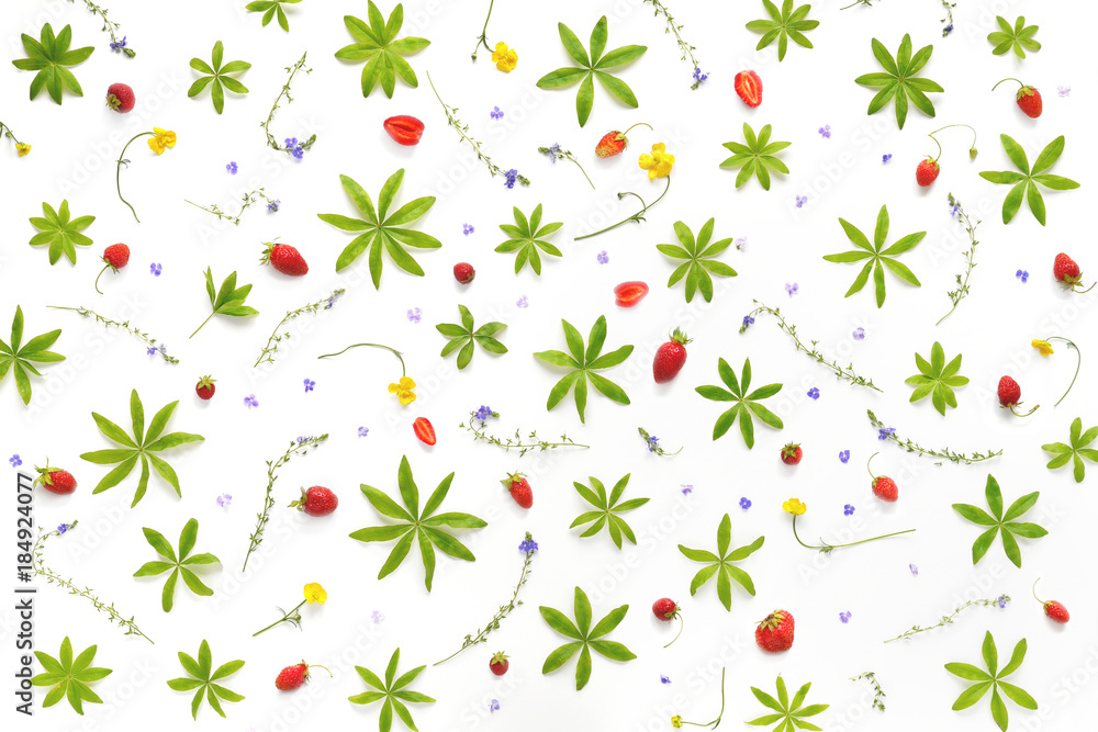 Composition from plants, flowers and red berries, isolated on white background. Strawberry pattern, flat lay, top view. The concept of summer, spring, healthy eating. Composition from plants, flowers and red berries, isolated on white background. Strawberry pattern, flat lay, top view. The concept of summer, spring, healthy eating.