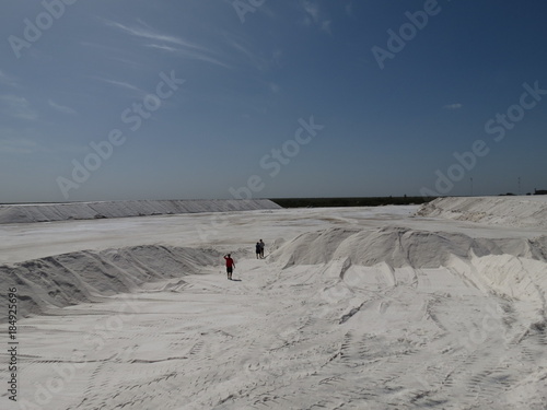 salar 