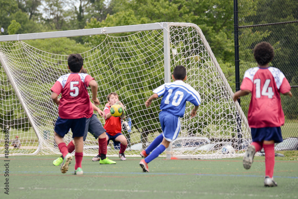 Naklejka premium Goalie makes the save