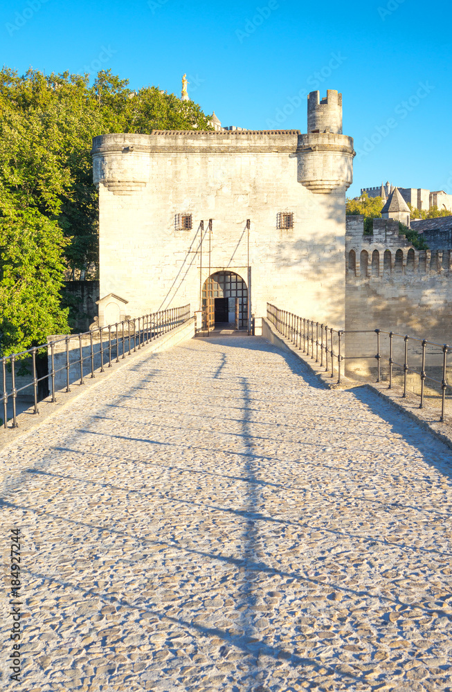 Fototapeta premium Architectures and monuments of Avignon