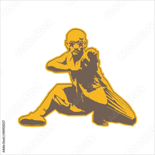 kungfu style