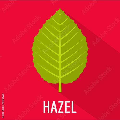 Hazel leaf icon. Flat illustration of hazel leaf vector icon for web