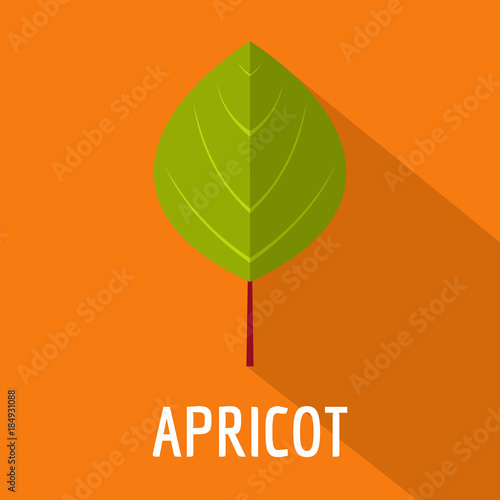 Apricot leaf icon. Flat illustration of apricot leaf vector icon for web