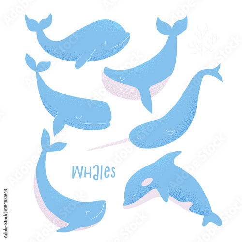 Vector card with blue whale