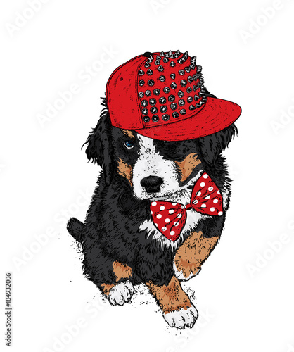 Beautiful puppy in a stylish cap and tie. Vector illustration. Painted thoroughbred dog. Hipster. Clothes and accessories.
