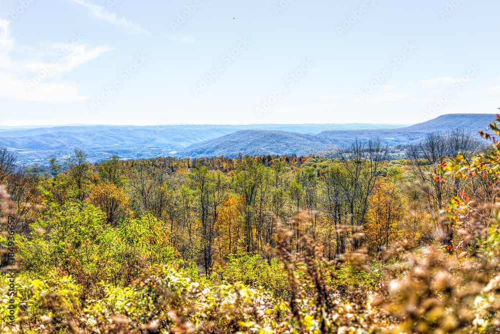 Fototapeta premium View of West Virginia mountains during colorful autumn fall season with yellow foliage on trees, and dry plant bushes