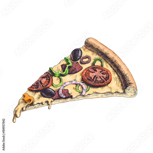 Delicious pizza slice with tomatoes, pepper, olives, and bacon pieces. Vector color hand drawn traditional italian  food isolated on white. Vintage  illustration in engraved style