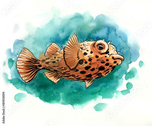 Принти на полотні Watercolor fugu fish