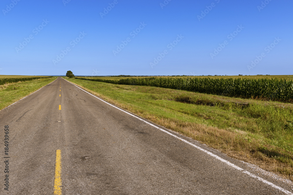 Long empty country road in rural Texas along a cornfield; Concept for travel in Texas, USA