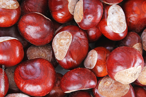 Wild whole chestnut chestnuts as texture background. Chestnut pattern closeup...