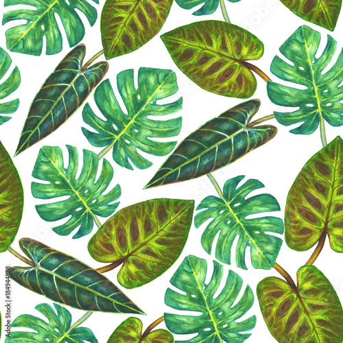 Tropical green plants background