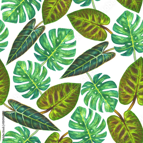 Tropical green plants backg...