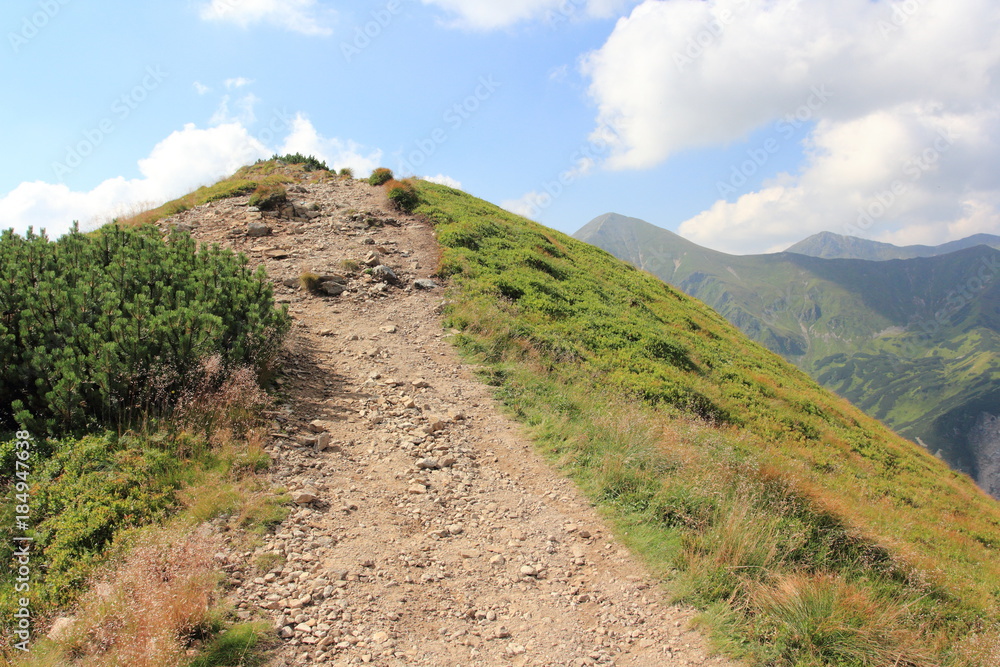 High mountains path in Polish Tatra