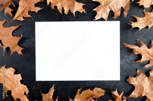 sheet of white paper on black background with yellow leaves autumn concept copy space