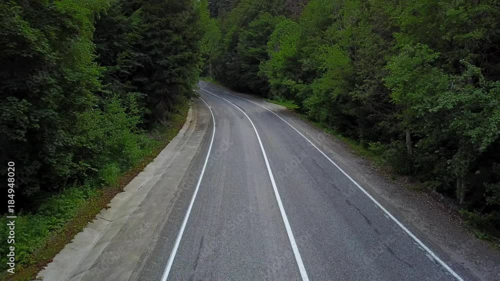 Road in the forest. Natural video from air Road in the forest. Natural video from air