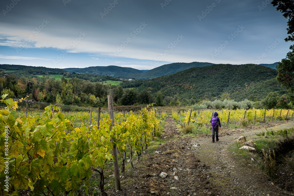 Montecatini Val di Cecina, Pisa, Italy - November 7, 2017: It is an itinerary in the Monterufoli Nature Reserve, monumental great work are the stone bridges