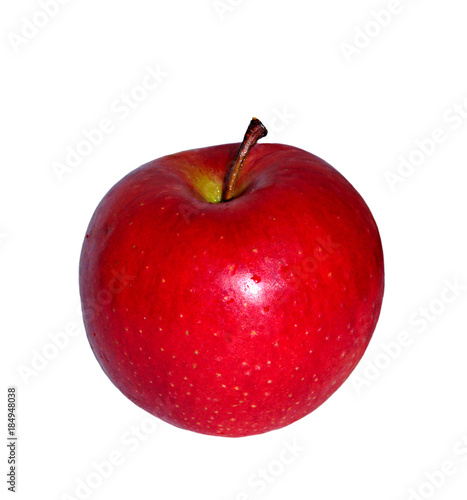 Ripe bright red with brown dots apple grade Champion isolated on white background