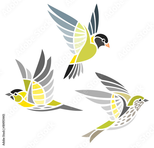 Stylized Birds - Tibetan serin, Eurasian and Antillean siskins in flight