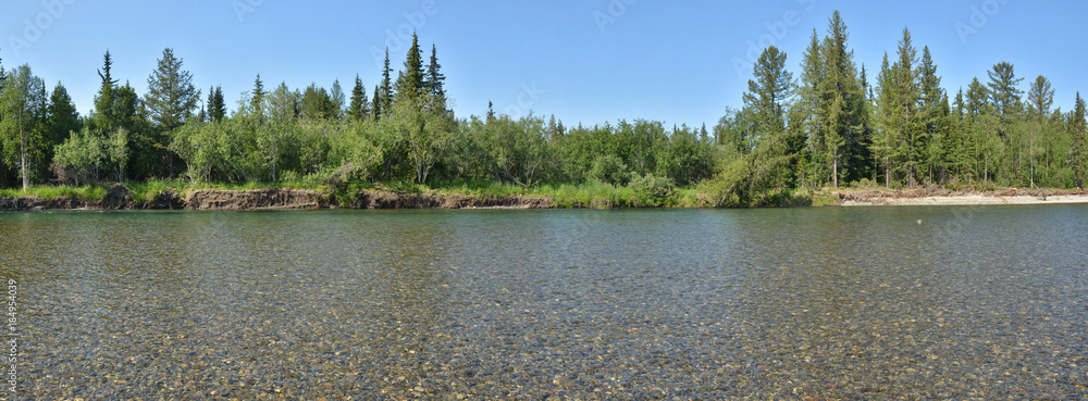 Summer panorama of the taiga river in the Polar Urals.