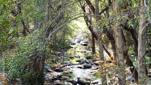 Mountain stream