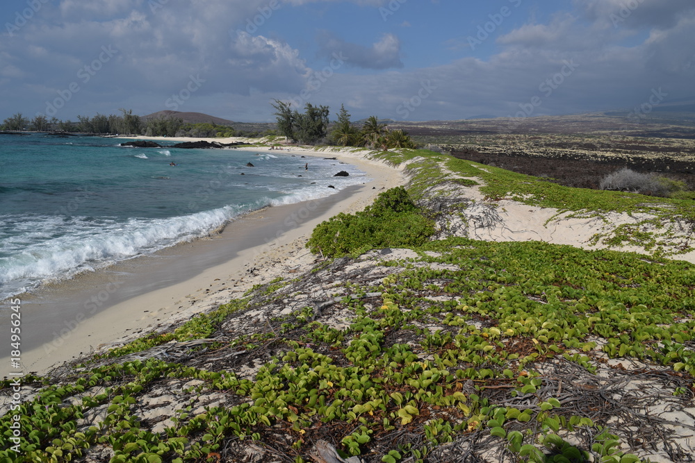sweeping view of Makalawena white sand beach, Kailua-Kona, Big Island, Hawaii sweeping view of Makalawena white sand beach, Kailua-Kona, Big Island, Hawaii