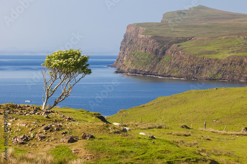 Quiraing Mountains in Isle of Skye, Scotland Fototapet