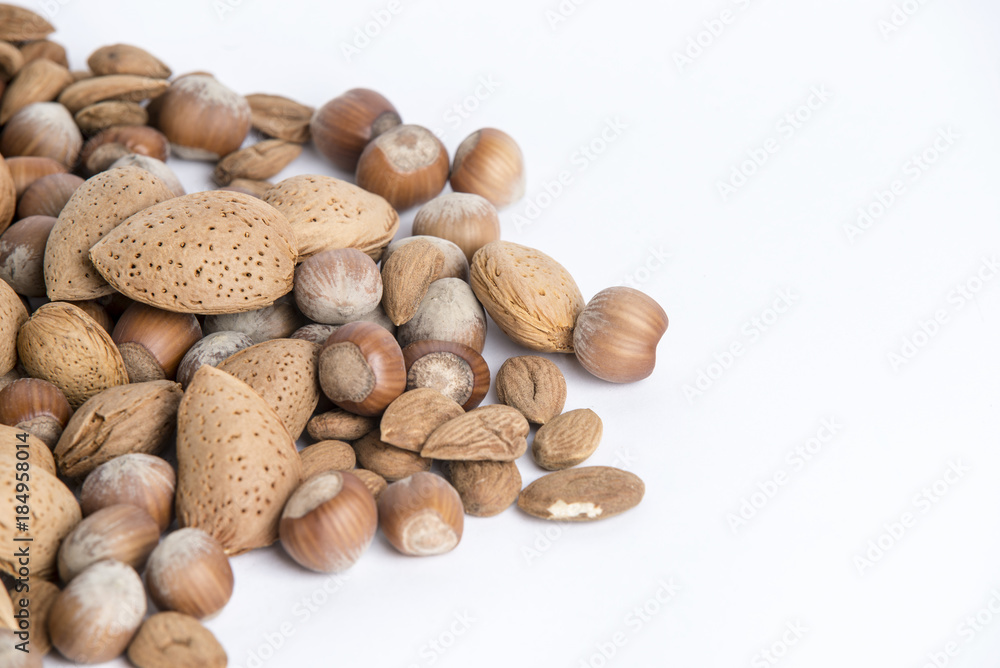noci noci