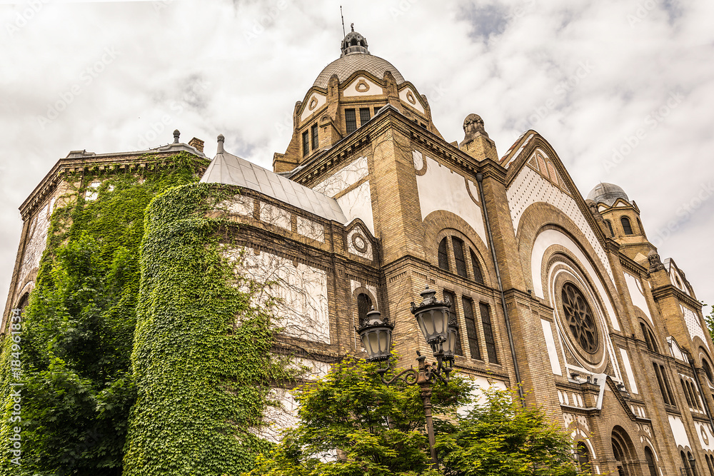 Naklejka premium Synagogue in Novi Sad