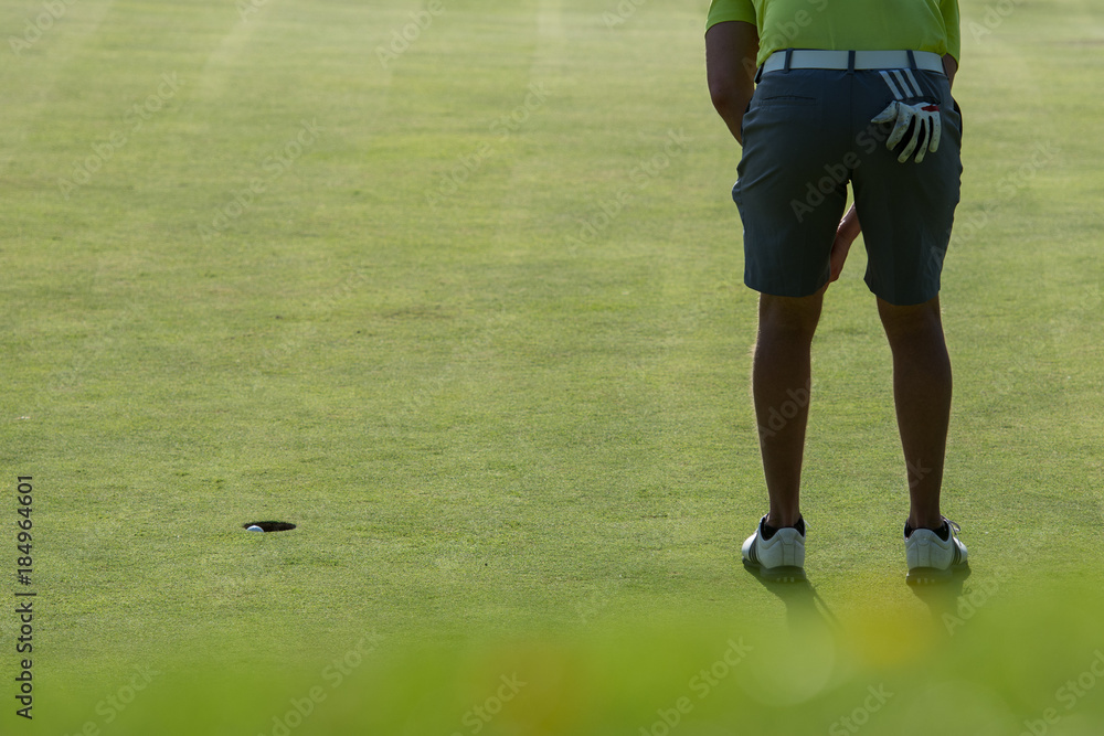 Obraz premium Golfer putting golf ball on the green golf