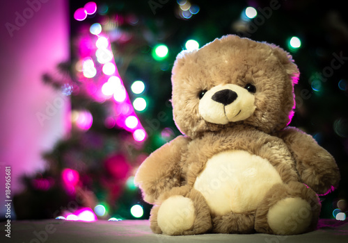 Señor oso navideño © Jaime