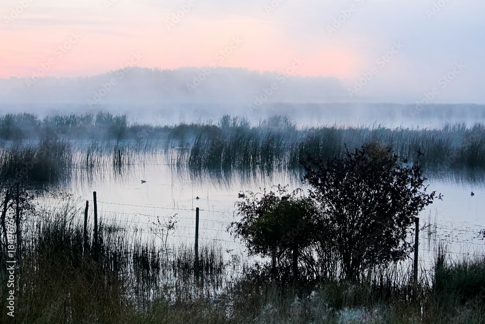Morning mist rising off of Alberta Lake Morning mist rising off of Alberta Lake
