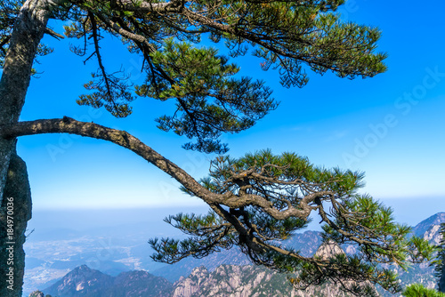 Schilderij op canvas Beautiful scenery in Mount Huangshan, China