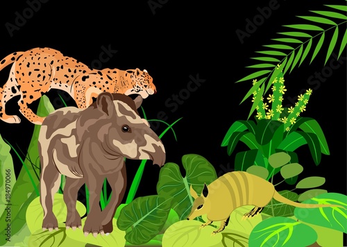 Night jungle background, anumals of amazon jungle. Tapir and jaguar in the green folliage. Wildlife and animals theme.